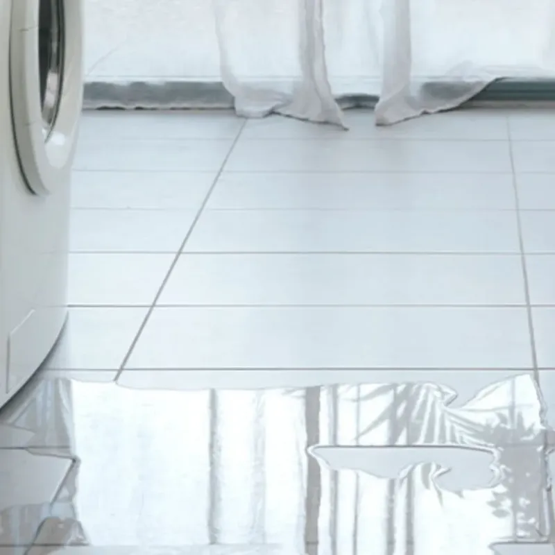 Appliance Leak Cleanup in Edmonston, MD