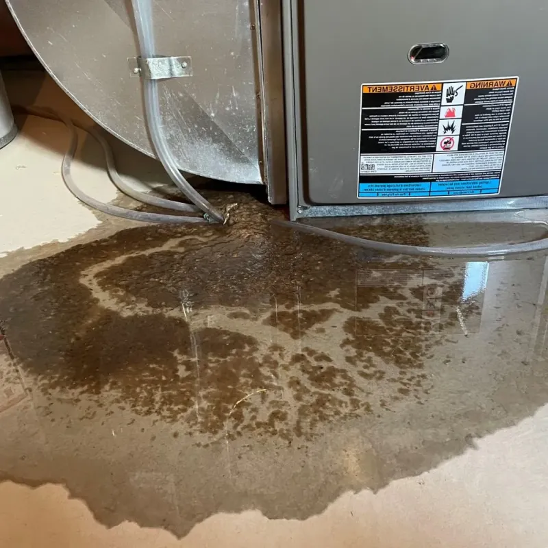 Pipe Burst and Leak Restoration in Edmonston, MD