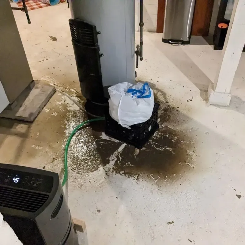 Sewage Backup Cleanup Service in Edmonston, MD